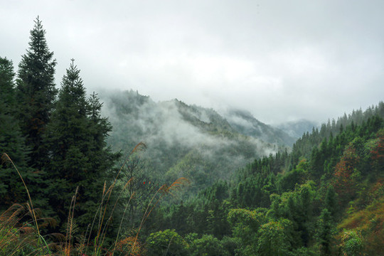 霧山云海風(fēng)光