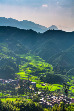 黑山梯田