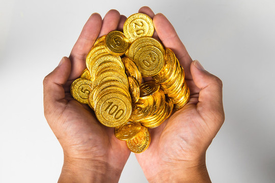 手捧金幣