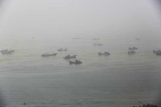 大海