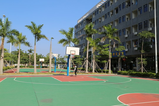 籃球場