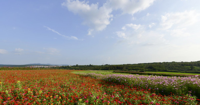 花海莊園