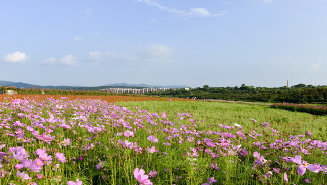 花海莊園