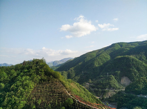 神農(nóng)架風光