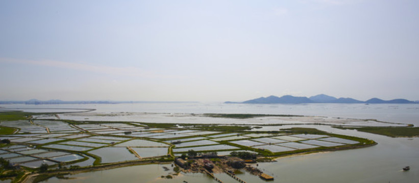 濕地公園