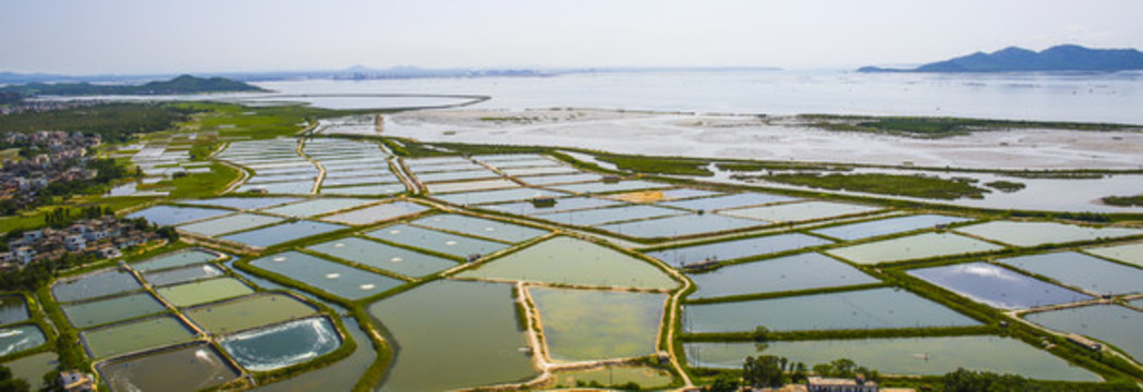 全景風(fēng)光