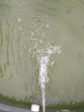 噴水池