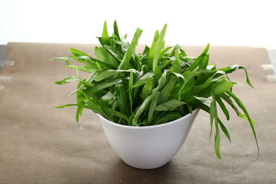 通菜
