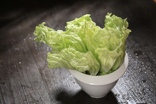 大白菜
