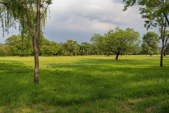 萬樹園