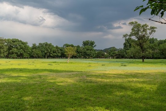 萬樹園