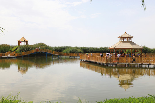 博斯騰湖美麗景色