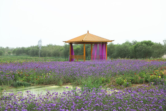庫(kù)爾勒體育公園