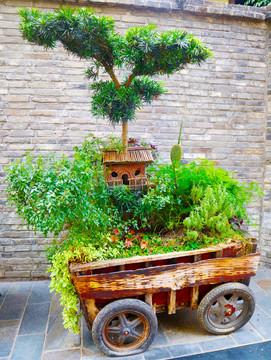 綠植裝飾