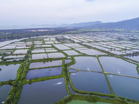 海水養(yǎng)殖