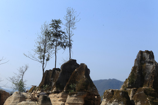 自然山石景觀