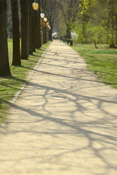 柏林大蒂爾加滕公園人行道和路燈