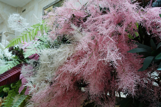 D浪漫花飾
