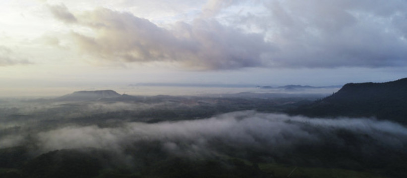 風景