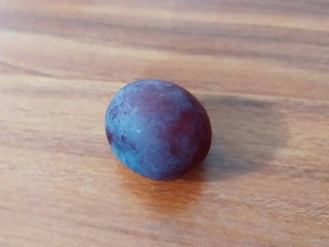 紅提