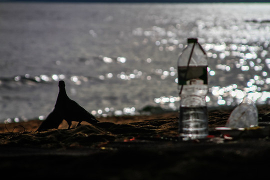 海邊
