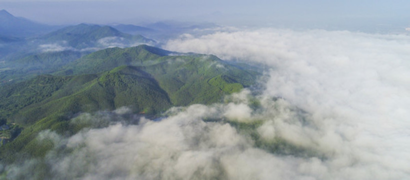 霧景