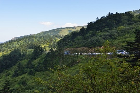 神農(nóng)架風(fēng)光