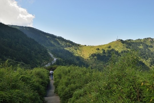 神農(nóng)架風(fēng)光