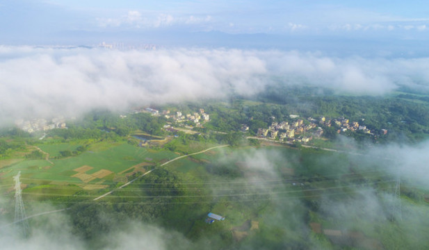霧景