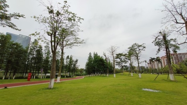 南沙綠化濱海騎行綠道