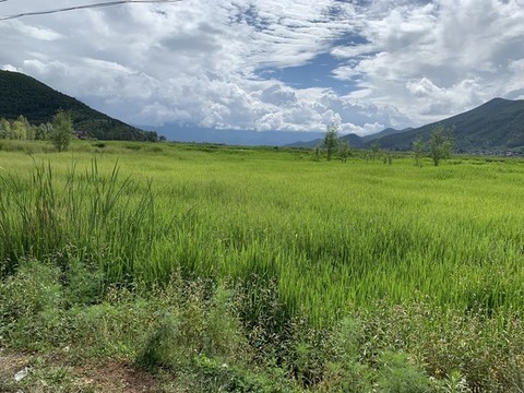 風(fēng)景圖