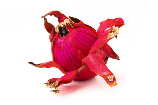 紅心火龍果