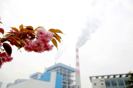 櫻花開放的發(fā)電廠