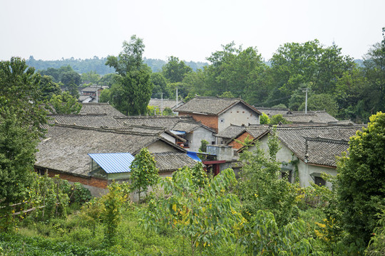 農(nóng)村