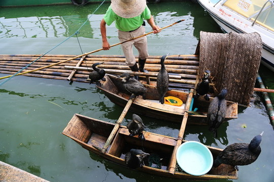 巢湖岸邊捕魚人