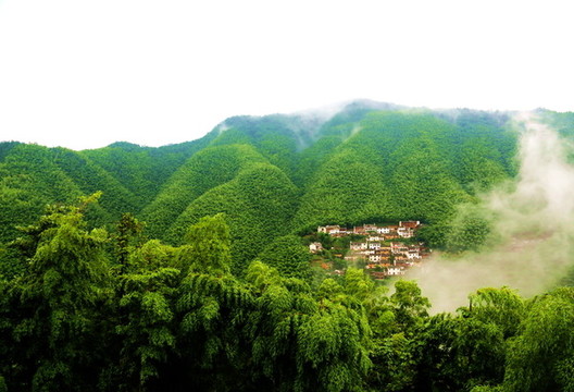 黃山竹海人家