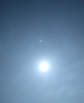 陽(yáng)光