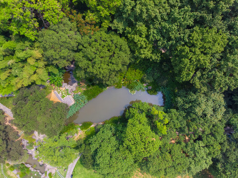 武漢東湖磨山風(fēng)景區(qū)夏日航拍風(fēng)光