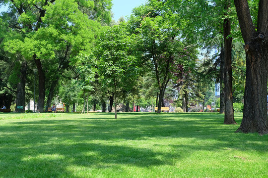 公園