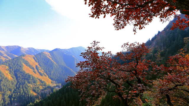 興隆山秋色