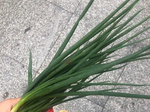 大蔥