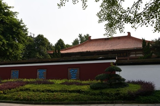 望從祠