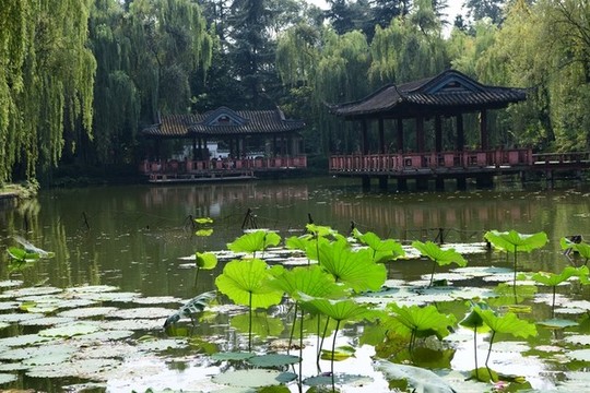 望從祠