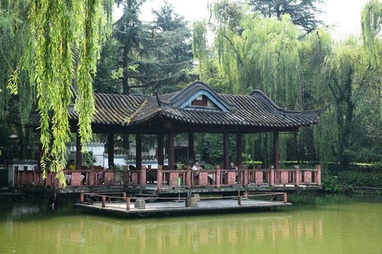 望從祠