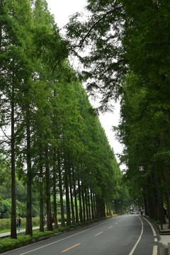 山村公路