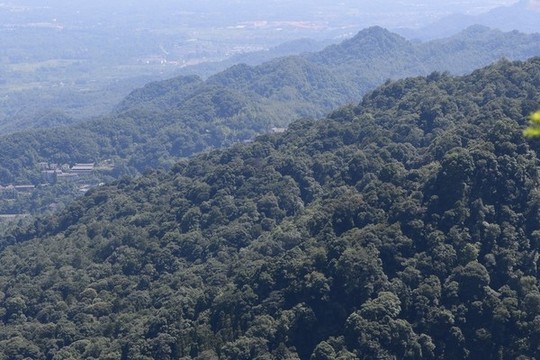 青城山