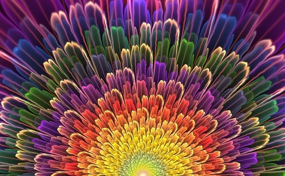 花朵裝飾畫