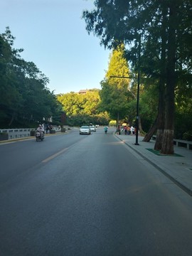 馬路風(fēng)景