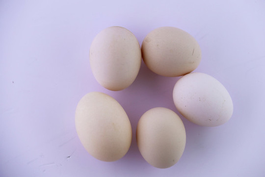 農(nóng)家雞蛋