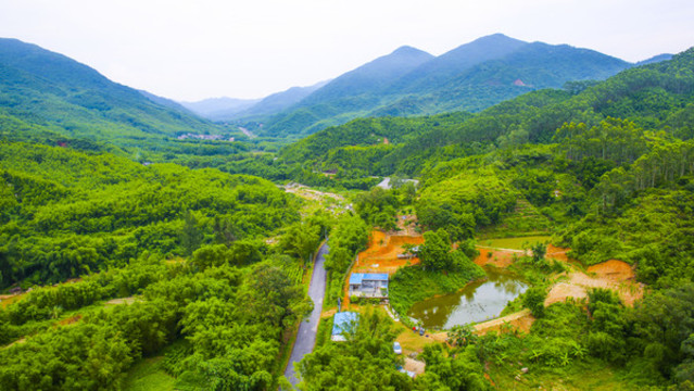 東水山